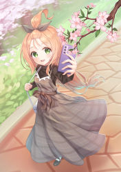 Rule 34 | 1girl, arm up, bad id, bad pixiv id, bag, bangs pinned back, black footwear, black ribbon, black shirt, blonde hair, blush, branch, caron (straycat910), cellphone, commentary request, day, dress, flower, from above, full body, green eyes, grey dress, hair ribbon, holding, holding phone, holding strap, long hair, long sleeves, open mouth, original, outdoors, phone, pinafore dress, pink flower, plaid, plaid dress, ribbon, shirt, shoes, shoulder bag, sleeveless dress, smartphone, smile, solo, standing, very long hair