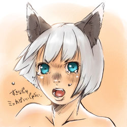 Rule 34 | 00s, animal ears, bad id, bad pixiv id, blue eyes, cat ears, fangs, final fantasy, final fantasy xi, lowres, mithra (ff11), nucomas, solo, tears, white hair