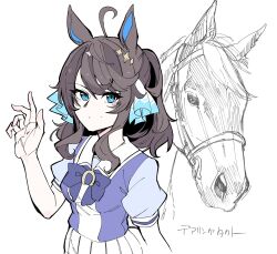 Rule 34 | 1girl, ahoge, animal ears, blue eyes, bow, bowtie, bridle, brown hair, character name, commentary, creature and personification, daring tact (racehorse), daring tact (umamusume), hair ornament, highres, horse, horse ears, horse girl, looking at viewer, pleated skirt, puffy short sleeves, puffy sleeves, purple bow, purple bowtie, purple shirt, real life, sailor collar, sailor shirt, school uniform, shirt, short sleeves, sidelocks, simple background, sketch, skirt, star (symbol), star hair ornament, summer uniform, takatsuki nato, tracen school uniform, translated, umamusume, upper body, wavy hair, white background, white sailor collar, white skirt
