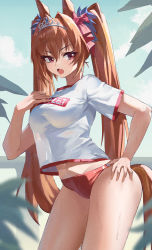 Rule 34 | 1girl, :o, absurdres, animal ears, blue sky, blush, bow, breasts, brown hair, buruma, character name, clothes writing, commentary, contrapposto, cowboy shot, daiwa scarlet (umamusume), day, fang, feipin zhanshi, hair bow, hair intakes, hand on own hip, hand on own chest, highres, horse ears, horse girl, horse tail, large breasts, long hair, looking at viewer, midriff peek, open mouth, outdoors, pink bow, red buruma, red eyes, short sleeves, sky, solo, sweat, tail, thighs, tiara, twintails, umamusume, very long hair
