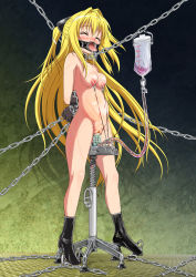 Rule 34 | 1girl, bdsm, blonde hair, blood, blush, bondage, bound, breast torture, breasts, chain, closed eyes, collage (artist), crying, dildo, egg laying, enema, female focus, gag, gagged, gloves, humiliation, inflation, konjiki no yami, long hair, navel, nipple piercing, nipple pull, nipple stimulation, nipple torture, nipples, nude, object insertion, open mouth, pain, piercing, pregnant, pussy, pussy juice, restrained, ring gag, saliva, sex toy, slave, solo, stomach bulge, tears, to love-ru, torture, uncensored, vaginal, vaginal object insertion, whip marks