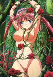 Rule 34 | 1girl, absurdres, airi (queen&#039;s blade), armpits, arms up, bdsm, blue eyes, blush, body blush, bondage, bound, breasts, cleft of venus, female focus, flower, foreshortening, forest, groin, headdress, highres, large breasts, long hair, looking at viewer, maid headdress, nature, navel, nipples, noguchi takayuki, nude, nude filter, parted lips, plant, pussy, queen&#039;s blade, red flower, red hair, red rose, rose, shade, solo, thighs, third-party edit, thorns, tree, twintails, uncensored, very long hair, wrist cuffs
