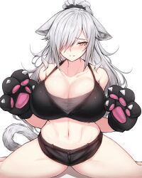 Rule 34 | 1girl, absurdres, animal ears, animal hands, arknights, bare shoulders, black shorts, blush, breasts, cat ears, cat tail, cleavage, commentary request, crop top, gloves, grey hair, hair over one eye, highres, large breasts, long hair, looking at viewer, micro shorts, midriff, navel, nose blush, paw gloves, rikuguma, schwarz (arknights), shorts, simple background, sitting, solo, stomach, tail, thighs, very long hair, white background, yellow eyes