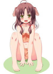 Rule 34 | 1girl, :d, ahoge, animal ears, asa no ha (awayuki), barefoot, blush, breasts, brown hair, chain, cleavage, collar, dog ears, fang, fangs, long hair, midriff, navel, no panties, open mouth, original, simple background, sitting, small breasts, smile, solo, squatting, twintails, white background, yellow eyes