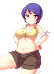 Rule 34 | 1girl, angry, arms behind back, artist name, bare shoulders, belly, blue hair, blueberry (5959), breasts, cleavage, hands on own hips, large breasts, navel, original, plump, red eyes, short hair, shorts, simple background, solo, standing, white background