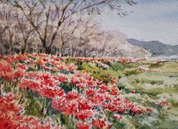 Rule 34 | akemisuisai, blue sky, cloud, cloudy sky, day, field, flower, flower field, forest, grass, highres, hill, mountain, mountainous horizon, nature, no humans, original, painting (medium), red flower, scenery, sky, traditional media, tree, watercolor (medium)