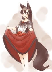 Rule 34 | 1girl, animal ears, bare shoulders, blouse, breasts, brooch, brown hair, collarbone, cowboy shot, hair between eyes, imaizumi kagerou, jewelry, kaginoni, long sleeves, looking at viewer, off shoulder, red eyes, red skirt, shirt, skirt, skirt basket, skirt set, small breasts, smile, solo, tail, touhou, white shirt, wide sleeves, wolf ears, wolf tail