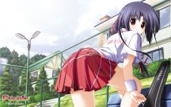 Rule 34 | 00s, 1girl, 2005, absurdres, akiiro renka, bent over, blue hair, chain-link fence, fence, hair ribbon, highres, hill, house, lamppost, lens flare, nanjou ibuki, official art, purple software, racket, red eyes, ribbon, solo, sportswear, stairs, tennis racket, tennis uniform, wristband