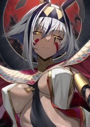 Rule 34 | 1girl, absurdres, animal ears, breasts, dark-skinned female, dark skin, earrings, egyptian, facial mark, fate/grand order, fate (series), grey hair, hair between eyes, hairband, highres, jackal ears, jewelry, large breasts, looking at viewer, multicolored hair, nitocris (fate), nitocris alter (fate), nitocris alter (second ascension) (fate), parted lips, purple hair, short hair, skysign ft, solo, two-tone hair, yellow eyes