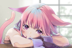 Rule 34 | 1girl, animal ears, warrior of light (ff14), cat ears, cat girl, cat tail, chii (pixiv20756878), final fantasy, final fantasy xiv, gloves, head rest, highres, miqo&#039;te, pink hair, purple eyes, tail, wrist cuffs