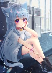 Rule 34 | 1girl, animal ear fluff, animal ears, bell, black footwear, blush, cat ears, cat tail, choker, grey hair, hair strand, hand on own cheek, hand on own face, highres, jingle bell, long hair, looking at viewer, michiru donut, neck bell, original, pink ribbon, purple eyes, red choker, ribbon, shirt, shoes, shorts, signature, sitting, sneakers, solo, sparkle, t-shirt, tail, very long hair, white shirt, wrist ribbon