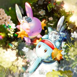 Rule 34 | :d, ^ ^, alternate color, border, brown eyes, character name, closed eyes, commentary request, creatures (company), dated, day, ekm, flower, game freak, gen 3 pokemon, lying, mudkip, nintendo, no humans, on back, open mouth, outdoors, pokemon, pokemon (creature), shiny and normal, shiny pokemon, smile, tongue, water, white border