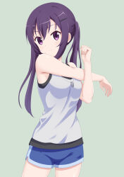 Rule 34 | 1girl, absurdres, blue shorts, blush, closed mouth, commentary request, cowboy shot, dog tags, dolphin shorts, flatfield, gochuumon wa usagi desu ka?, green background, grey shirt, hair between eyes, hair ornament, hairclip, highres, long hair, looking at viewer, purple eyes, purple hair, shirt, shorts, simple background, sleeveless, sleeveless shirt, smile, solo, standing, tedeza rize, twintails, whistle, whistle around neck