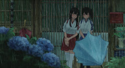 Rule 34 | 10s, 2girls, akagi (kancolle), architecture, blush, brown eyes, brown hair, closed umbrella, commentary request, east asian architecture, flower, flower request, hair between eyes, hakama, hakama short skirt, hakama skirt, hydrangea, japanese clothes, kaga (kancolle), kantai collection, leaning on person, long hair, looking at another, mailbox, multiple girls, outdoors, own hands together, painting (medium), plant, rain, shijukara (great tit), short hair, side ponytail, skirt, smile, straight hair, tasuki, thighhighs, traditional media, umbrella, v arms, watercolor (medium), white legwear