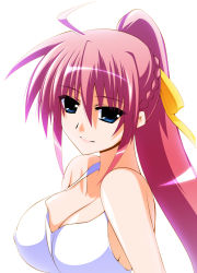 Rule 34 | blue eyes, breasts, cleavage, engo (aquawatery), hair ornament, hair ribbon, large breasts, lyrical nanoha, mahou shoujo lyrical nanoha, mahou shoujo lyrical nanoha strikers, pink hair, ribbon, signum, simple background, white background