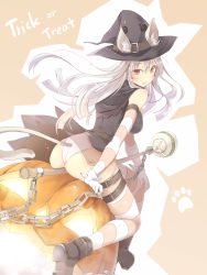 Rule 34 | 1girl, animal ears, ass, cat ears, cat tail, ears through headwear, elbow gloves, from behind, gloves, halloween, hat, highres, jack-o&#039;-lantern, long hair, looking at viewer, looking back, original, panties, red eyes, satomi (black scarecrow), see-through, silver hair, solo, striped clothes, striped gloves, striped thighhighs, tail, thigh strap, thighhighs, trick or treat, underwear, white panties, witch hat