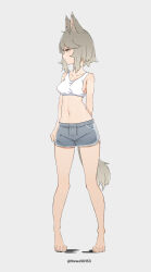 Rule 34 | 1girl, absurdres, animal ears, animal feet, arm behind back, barefoot, blue shorts, breasts, brown hair, clenched hand, closed mouth, collarbone, crop top, dolphin shorts, full body, grey background, highres, looking to the side, medium breasts, nauwa, navel, original, shorts, sideboob, simple background, tail, thighs, twitter username, yellow eyes