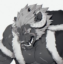 Rule 34 | 1boy, animal ears, bara, bare pectorals, commentary, curled horns, fur-trimmed jacket, fur trim, furry, furry male, greyscale, hood, hooded jacket, horns, jacket, krampus (housamo), large pectorals, long sideburns, male focus, medium hair, monochrome, muscular, muscular male, norasame (dagako), pectorals, saliva, scar, scar across eye, scar on chest, sideburns, simple background, solo, thick eyebrows, tokyo houkago summoners, tongue, tongue out, tusks, upper body, white background