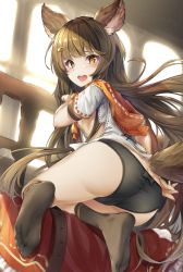 Rule 34 | 1girl, absurdres, animal ears, ass, aster (granblue fantasy), black footwear, black panties, black socks, brown eyes, brown hair, character request, dog ears, dog tail, feet, from behind, granblue fantasy, hair ornament, hairclip, hand on own hip, highres, hyouta (yoneya), kneeling, leaning forward, long hair, looking back, no pants, open mouth, panties, shirt, smile, socks, solo, tail, thighs, underwear, white shirt