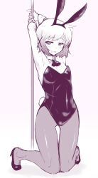 Rule 34 | 1girl, animal ears, armpits, arms up, bare shoulders, blush, detached collar, fake animal ears, fake tail, full body, hair ornament, hidamari sketch, high heels, kagami uekusa, leotard, looking at viewer, monochrome, open mouth, pantyhose, playboy bunny, pole, pole dancing, rabbit ears, rabbit tail, short hair, simple background, solo, strapless, strapless leotard, stripper pole, tail, thigh gap, white background, wrist cuffs, x hair ornament, yuno (hidamari sketch)