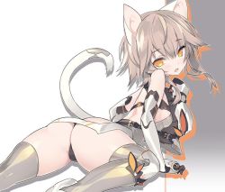 Rule 34 | 1girl, animal ears, ass, bare shoulders, black panties, blade (galaxist), blush, breasts, brown hair, cat ears, cat girl, cat tail, copyright request, elbow gloves, fang, gloves, grey gloves, grey thighhighs, hair between eyes, head tilt, long hair, looking at viewer, looking back, orange hair, panties, parted lips, sidelocks, small breasts, solo, tail, tail raised, thighhighs, underwear