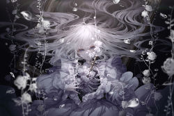 Rule 34 | 1girl, blue eyes, dagger, dress, floating hair, flower, highres, knife, open clothes, open dress, picture frame, ribs, rose, solo, virtual youtuber, weapon, white dress, white flower, white hair, white rose, yoggi (stretchmen)