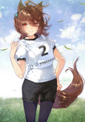 Rule 34 | 1girl, absurdres, agnes tachyon (umamusume), ahoge, animal ears, black pantyhose, black shorts, blue sky, brown hair, cloud, commentary request, day, earrings, grass, gym uniform, hair over one eye, hand on own hip, highres, horse ears, horse girl, horse tail, jewelry, leaf, leggings, leggings under shorts, outdoors, pantyhose, red eyes, shirt, short sleeves, shorts, single earring, sky, smile, solo, tail, umamusume, white shirt, yanyo (ogino atsuki)