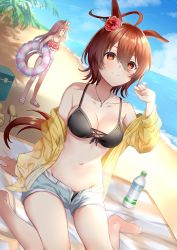 Rule 34 | 2girls, :d, agnes digital (umamusume), agnes tachyon (umamusume), ahoge, alternate costume, animal ears, barefoot, beach, bikini, black bikini, blue eyes, bottle, bow, breasts, brown eyes, brown hair, cleavage, commentary request, cooler, flower, frilled bikini, frills, hair between eyes, hair bow, hair flower, hair ornament, hibiscus, highres, horse ears, horse girl, jewelry, long hair, looking at viewer, looking to the side, mashiro aa, medium breasts, messy hair, multiple girls, necklace, off shoulder, open mouth, palm tree, pink hair, red bikini, sandals, unworn sandals, short hair, short shorts, shorts, sitting, smile, swimsuit, tree, umamusume, wariza, water bottle, yellow bow