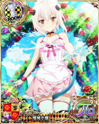Rule 34 | 1girl, apron, card (medium), cat hair ornament, character name, chess piece, choker, hair ornament, high school dxd, high school dxd hero, high school dxd pi, looking at viewer, maid, maid apron, maid headdress, neck bell, official art, rook (chess), short hair, silver hair, solo, source request, thighhighs, toujou koneko, trading card, water, white thighhighs, yellow eyes