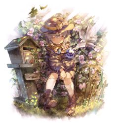 Rule 34 | 1girl, :o, adapted costume, ankle boots, aqua hair, belt boots, bird, blouse, boots, brown footwear, brown hat, bug, butterfly, closed eyes, commentary request, dappled sunlight, dove, english text, fence, flower, flower request, glint, grass, hair between eyes, hat, hat ribbon, insect, kneehighs, komeiji koishi, letter, light rays, love letter, off-shoulder jacket, off shoulder, own hands together, picket fence, plant, postbox (outgoing mail), ribbon, sekisei (superego51), shirt, short sleeves, shorts, sitting, socks, solo, sunbeam, sunlight, third eye, touhou, vines, wheel, white background, white socks, wooden fence, yellow shirt