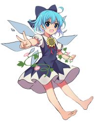 Rule 34 | 1girl, absurdres, ahoge, barefoot, blue bow, blue dress, blue eyes, blue hair, blush, bow, cirno, commentary request, dress, flower, hidden star in four seasons, highres, ice, ice wings, looking at viewer, neck ribbon, open mouth, plant, puffy short sleeves, puffy sleeves, red ribbon, ribbon, ruhika, short hair, short sleeves, simple background, smile, solo, sunflower, touhou, v, vines, white background, wings