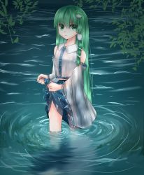 Rule 34 | 1girl, bad id, bad pixiv id, blue skirt, breasts, closed mouth, collared shirt, commentary, detached sleeves, eyes visible through hair, frog hair ornament, green eyes, green hair, hair ornament, hair tubes, highres, kochiya sanae, leaf, long hair, looking at viewer, medium breasts, midriff peek, reflection, ripples, ruuna 0111, shirt, skirt, snake hair ornament, solo, standing, touhou, very long hair, wading, water, wet, wet clothes, white shirt, wide sleeves, wringing clothes, wringing skirt