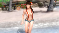 Rule 34 | 3d, alternate costume, beach, breasts, dead or alive, dead or alive 5, dead or alive 5 last round, large breasts, lei fang, long hair, naked suspenders, official art, suspenders, tecmo, unbuttoned