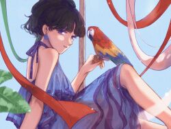 1girl bird blue_dress blunt_bangs brown_hair commentary_request dress earrings highres jewelry light_smile looking_at_viewer nakamori_akina okik2207 parrot parted_lips ponytail real_life sitting sleeveless solo