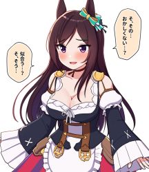 Rule 34 | 1girl, animal ears, blush, breasts, brown hair, cleavage, commentary request, dress, eishin flash (umamusume), frilled dress, frills, german clothes, hair between eyes, hair ribbon, highres, horse ears, horse girl, large breasts, long hair, looking at viewer, mejiro dober (umamusume), multicolored eyes, open mouth, purple eyes, ribbon, solo, takiki, translation request, umamusume