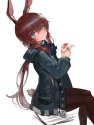 Rule 34 | 1girl, amiya (arknights), animal ears, arknights, bad id, bad pixiv id, blue jacket, blush, brown hair, brown pantyhose, closed mouth, commentary request, dokomon, feet out of frame, food, green eyes, hair between eyes, highres, holding, holding food, hood, hood down, hooded jacket, jacket, korean commentary, long hair, long sleeves, looking at viewer, looking to the side, open clothes, open jacket, pantyhose, rabbit ears, rabbit girl, rabbit tail, sitting, smile, solo, tail, twintails, very long hair, white background