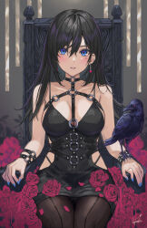 Rule 34 | 1girl, animal on arm, bare shoulders, bird, black choker, black hair, black panties, black pantyhose, blue eyes, blue nails, blush, bondage gear, bracelet, breasts, choker, cleavage, collarbone, commentary request, cowboy shot, crow, dress, earrings, enporion, fingernails, flower, hair between eyes, hair over eyes, highres, hip vent, indoors, jewelry, large breasts, long hair, looking at viewer, mole, mole under eye, nail polish, o-ring, o-ring choker, on chair, original, panties, panties under pantyhose, pantyhose, pantyshot, parted lips, red flower, red rose, rose, short dress, signature, sitting, sleeveless, sleeveless dress, spaghetti strap, spiked bracelet, spikes, throne, underwear