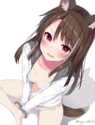Rule 34 | 1girl, animal ears, bare legs, barefoot, blush, bow, bow panties, breasts, brown hair, collarbone, commentary request, dog ears, dog girl, dog tail, downblouse, fangs, from above, hair between eyes, highres, hood, hood down, hooded jacket, jacket, long hair, long sleeves, looking at viewer, looking up, no pants, open mouth, original, panties, red eyes, ryu narb, shadow, sitting, sleeves past wrists, small breasts, solo, tail, twitter username, underwear, white background, white jacket, white panties, wolf ears, wolf tail