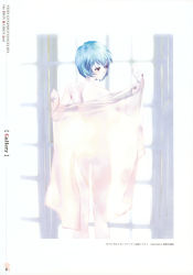 Rule 34 | 1girl, absurdres, artbook, ayanami rei, back, backlighting, blue hair, blush, closed mouth, copyright name, from behind, highres, holding, light smile, looking to the side, mikimoto haruhiko, naked towel, neon genesis evangelion, neon genesis evangelion: the iron maiden 2nd, official art, page number, pale skin, red eyes, scan, see-through, see-through silhouette, smile, solo, standing, towel, window