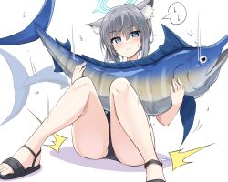 Rule 34 | 1girl, absurdres, animal, animal ears, blue archive, blue eyes, blush, closed mouth, cross hair ornament, fish, grey hair, hair ornament, halo, highres, holding, holding animal, holding fish, holiday (pangjelly), looking at viewer, marlin (fish), one-piece swimsuit, ponytail, sandals, shiroko (blue archive), shiroko (swimsuit) (blue archive), solo, swimsuit, white background, wolf ears