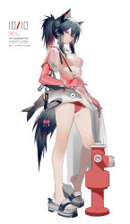 Rule 34 | 1girl, alternate hairstyle, animal ears, arknights, bandaid, bandaid on leg, bare legs, black hair, breasts, brown eyes, clogs, commentary request, female focus, full body, gloves, highres, liduke, long hair, looking at viewer, medium breasts, parted lips, pink gloves, ponytail, sandals, see-through, short sleeves, sidelocks, simple background, solo, standing, swimsuit, swimsuit under clothes, tail, texas (arknights), thighs, white background, wolf ears, wolf tail