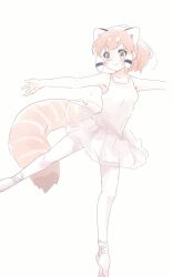 Rule 34 | 1girl, absurdres, alternate hairstyle, animal ears, armpits, ballerina, ballet, ballet slippers, bare arms, brown eyes, dancer, dancing, highres, kemono friends, kuromitsu (9633 kmfr), outstretched arms, red panda (kemono friends), smile, standing, standing on one leg, sweat, tail, tutu