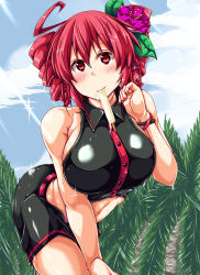 Rule 34 | 1girl, adapted costume, ahoge, blush, breasts, drill hair, female focus, flower, food, hair flower, hair ornament, highres, kasane teto, large breasts, leaning forward, looking at viewer, midriff, misakana, nail polish, nature, navel, outdoors, plant, popsicle, red eyes, red hair, sky, solo, sweat, twin drills, utau