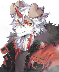 Rule 34 | 1boy, animal ears, ao (chung0u0), arknights, black tank top, brown fur, dog boy, dog ears, fur-trimmed jacket, fur trim, furry, furry male, highres, horns, hung (arknights), jacket, looking at viewer, male focus, medium hair, multicolored hair, muscular, orange eyes, orange hair, orange jacket, pectorals, portrait, single horn, smile, solo, streaked hair, tank top, two-tone fur, upper body, white background, white fur, white hair