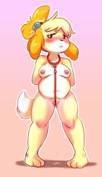 Rule 34 | 1girl, animal collar, animal crossing, animal ears, arms behind back, bdsm, bell, blonde hair, blush, body fur, bondage, bound, breasts, brown eyes, collar, crotch rope, dog ears, dog girl, dog tail, full body, furry, furry female, hair bell, hair ornament, herny, hernyed, highres, isabelle (animal crossing), leash, looking at viewer, navel, nintendo, nipples, nude, pigeon-toed, plump, pussy, pussy juice, pussy peek, small breasts, solo, standing, tail, topknot