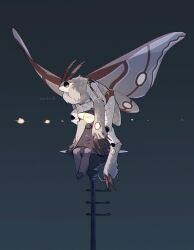 Rule 34 | 2others, arthropod girl, black cloak, black footwear, cloak, commentary request, dated, grey pants, highres, insect girl, lamppost, looking away, moth girl, multiple others, night, object head, on top of pole, original, outdoors, pants, personification, sannota272, shoes, sitting, sky, spread wings, standing