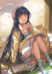 Rule 34 | absurdres, bad id, bad pixiv id, black hair, blush, brown eyes, cardigan, cat, cherry blossoms, closed eyes, closed mouth, commentary request, crayon, day, finger to cheek, from above, highres, idolmaster, idolmaster million live!, kitakami reika, long hair, long sleeves, looking at another, looking at viewer, low twintails, nys, open cardigan, open clothes, paper, petals, shadow, sitting, sketchbook, smile, socks, standing, striped clothes, striped socks, twintails, very long hair, wooden floor, yellow cardigan