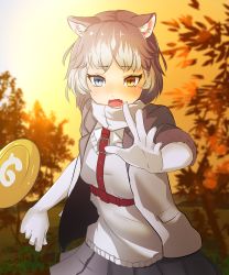 Rule 34 | 1girl, absurdres, animal ear fluff, animal ears, blue eyes, commentary request, dog (mixed breed) (kemono friends), dog ears, dog tail, elbow gloves, fang, frisbee, fur trim, gloves, grey hair, harness, heterochromia, highres, jacket, kemono friends, multicolored hair, open mouth, pleated skirt, scarf, short hair, short sleeves, skirt, solo, sweater, tail, tearing up, white hair, yellow eyes, yoojp
