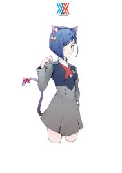 Rule 34 | 10s, 1girl, absurdres, animal ears, bad id, bad pixiv id, bell, blue hair, blush, bow, breasts, cat ears, cat tail, commentary request, cropped legs, darling in the franxx, fake animal ears, green eyes, hair ornament, hair over one eye, hairclip, hand in pocket, highres, ichigo (darling in the franxx), looking at viewer, paw pose, q-pra, ribbon, short hair, solo, tail, tail bow, tail ornament, tail ribbon, uniform