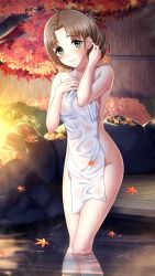 Rule 34 | 1girl, antenna hair, autumn leaves, blush, breasts, brown hair, closed mouth, collarbone, covering privates, doukyuusei 2, doukyuusei another world, game cg, green eyes, leaf, looking at viewer, maple leaf, medium breasts, night, nude cover, official art, onsen, outdoors, sideboob, smile, solo, standing, sugimoto sakurako, towel, wading, white towel